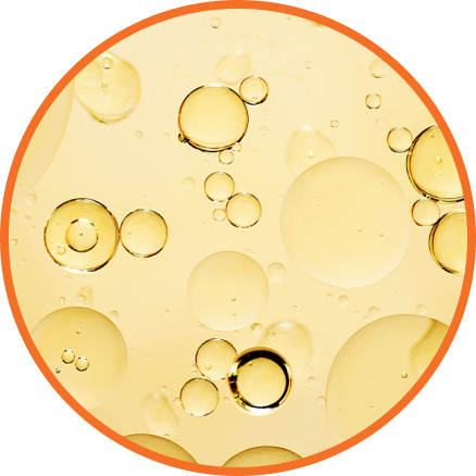 A microscopic image of lipid nano emulsion